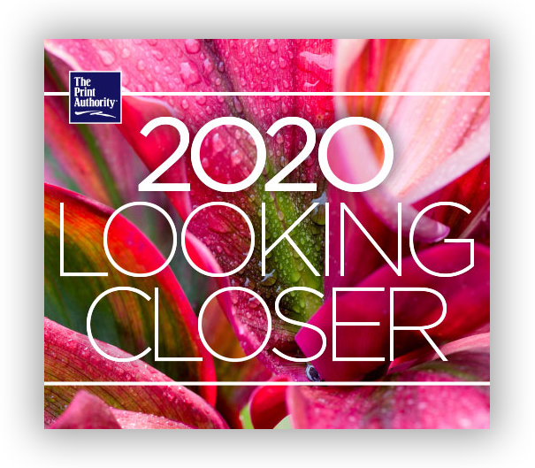 Elvis Costello: The Audio/Video Radio