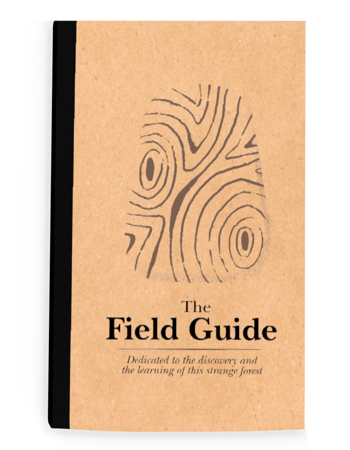 Peace By Peace Natures