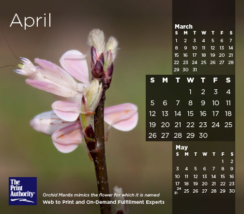 The Print Authority Calendar