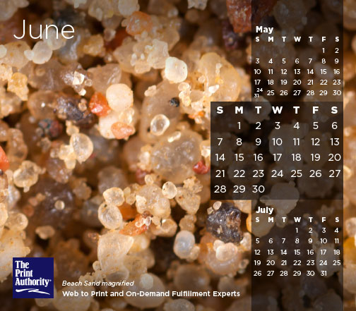 The Print Authority Calendar