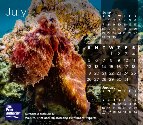 The Print Authority Calendar