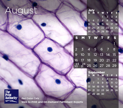 The Print Authority Calendar