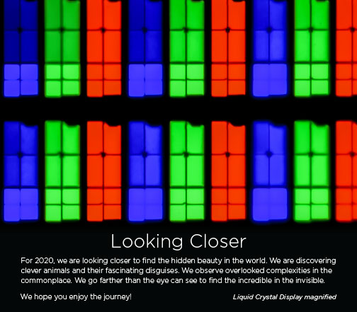 The Print Authority Calendar