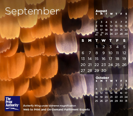 The Print Authority Calendar