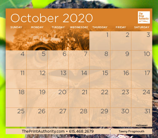 The Print Authority Calendar