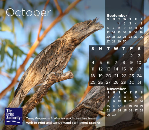 The Print Authority Calendar