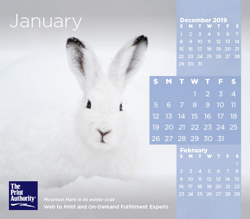 The Print Authority Calendar