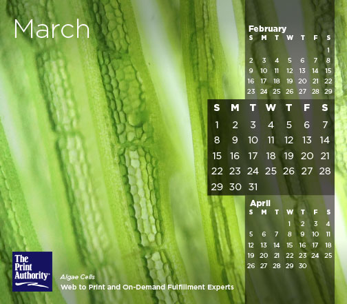 The Print Authority Calendar