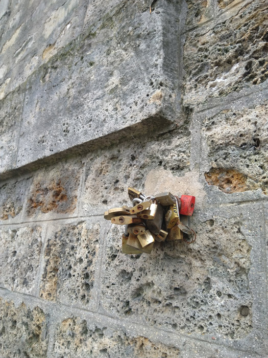 Les Surrures de Aimes Près La Siene