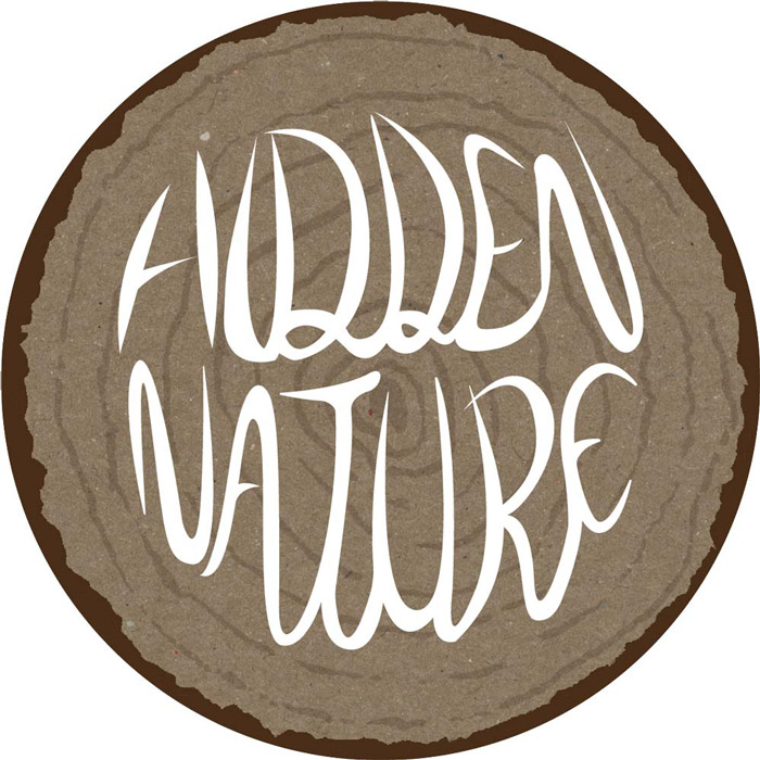 Peace By Peace Natures